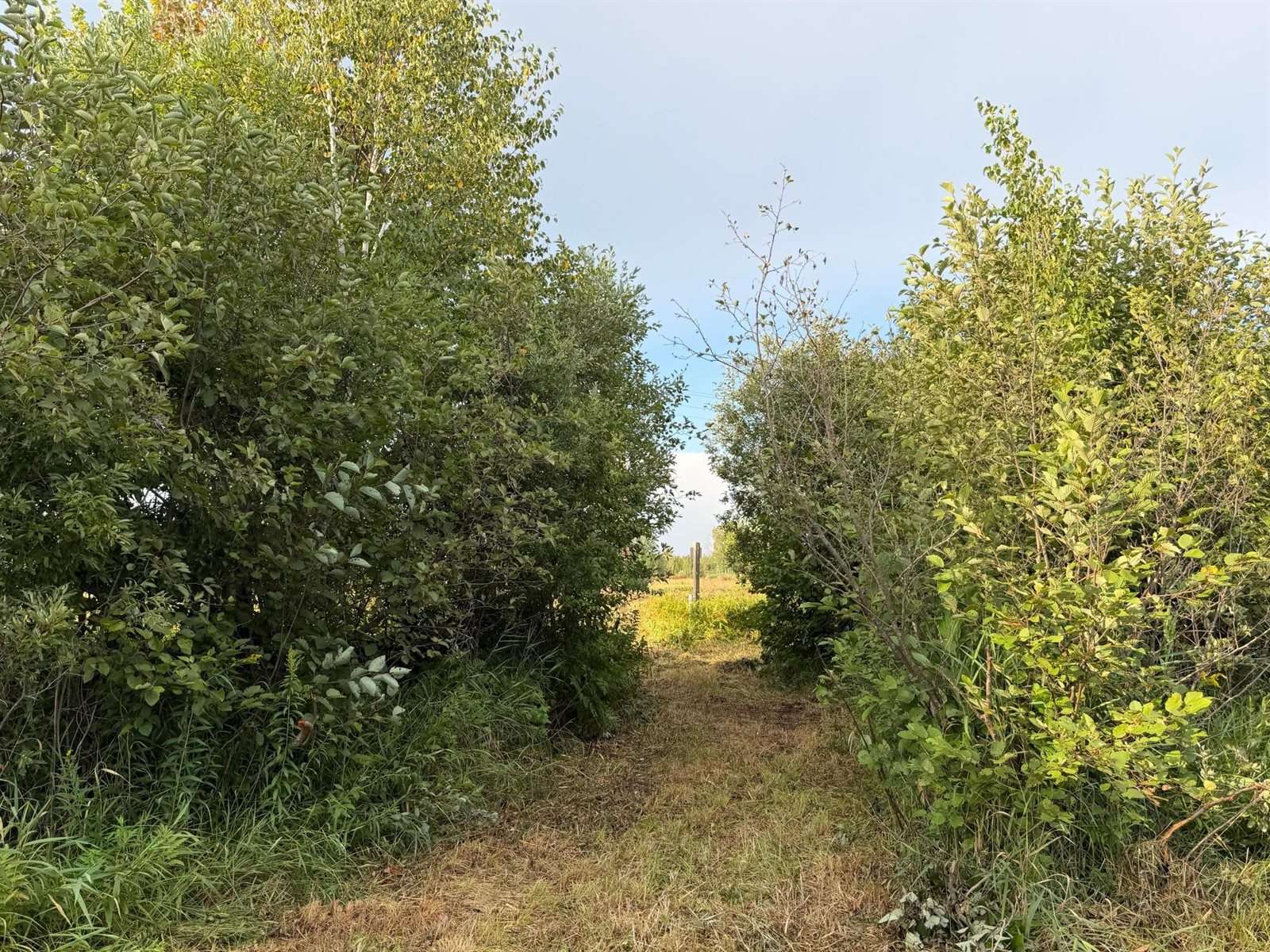 TBD County Road 12, Kettle River, MN 55767