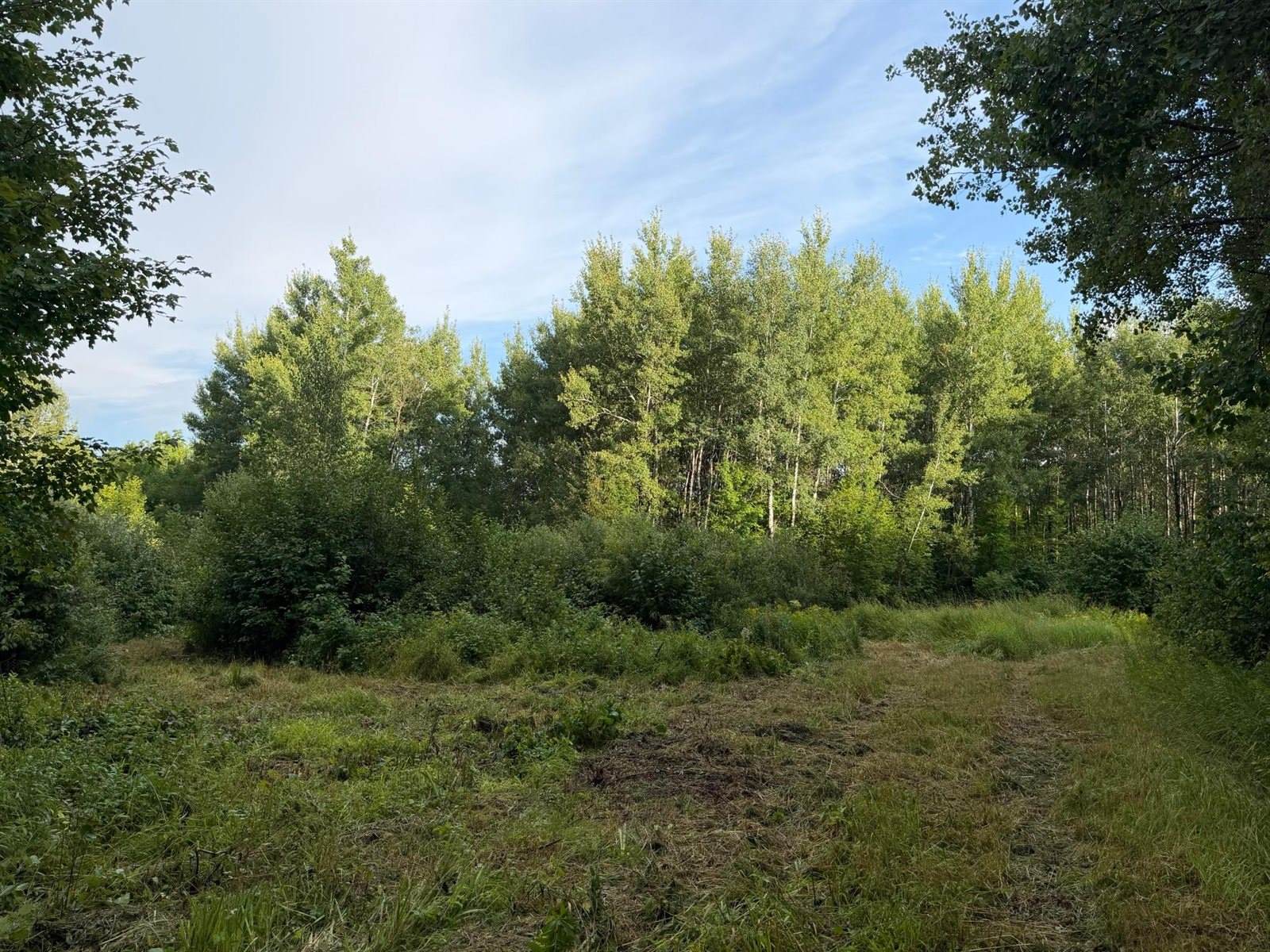TBD County Road 12, Kettle River, MN 55767