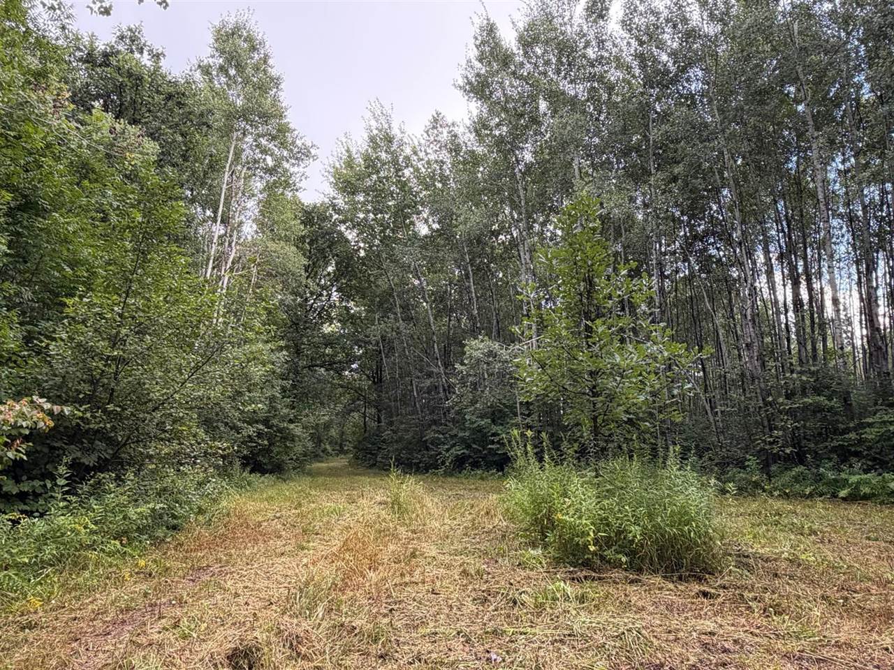 TBD County Road 12, Kettle River, MN 55767