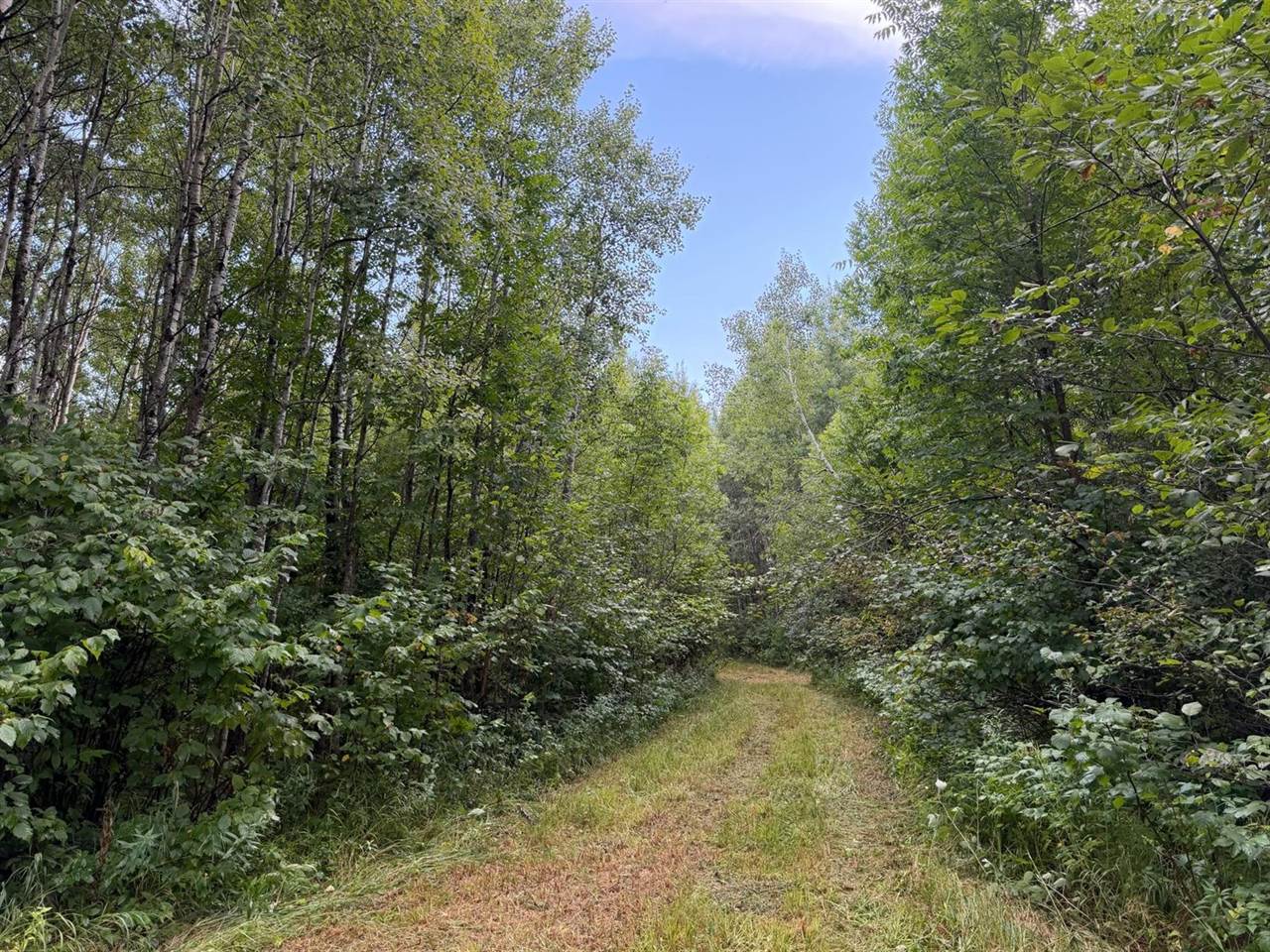 TBD County Road 12, Kettle River, MN 55767