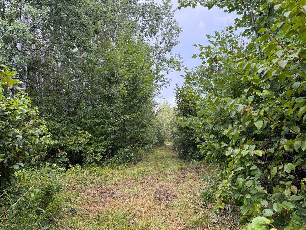 TBD County Road 12, Kettle River, MN 55767