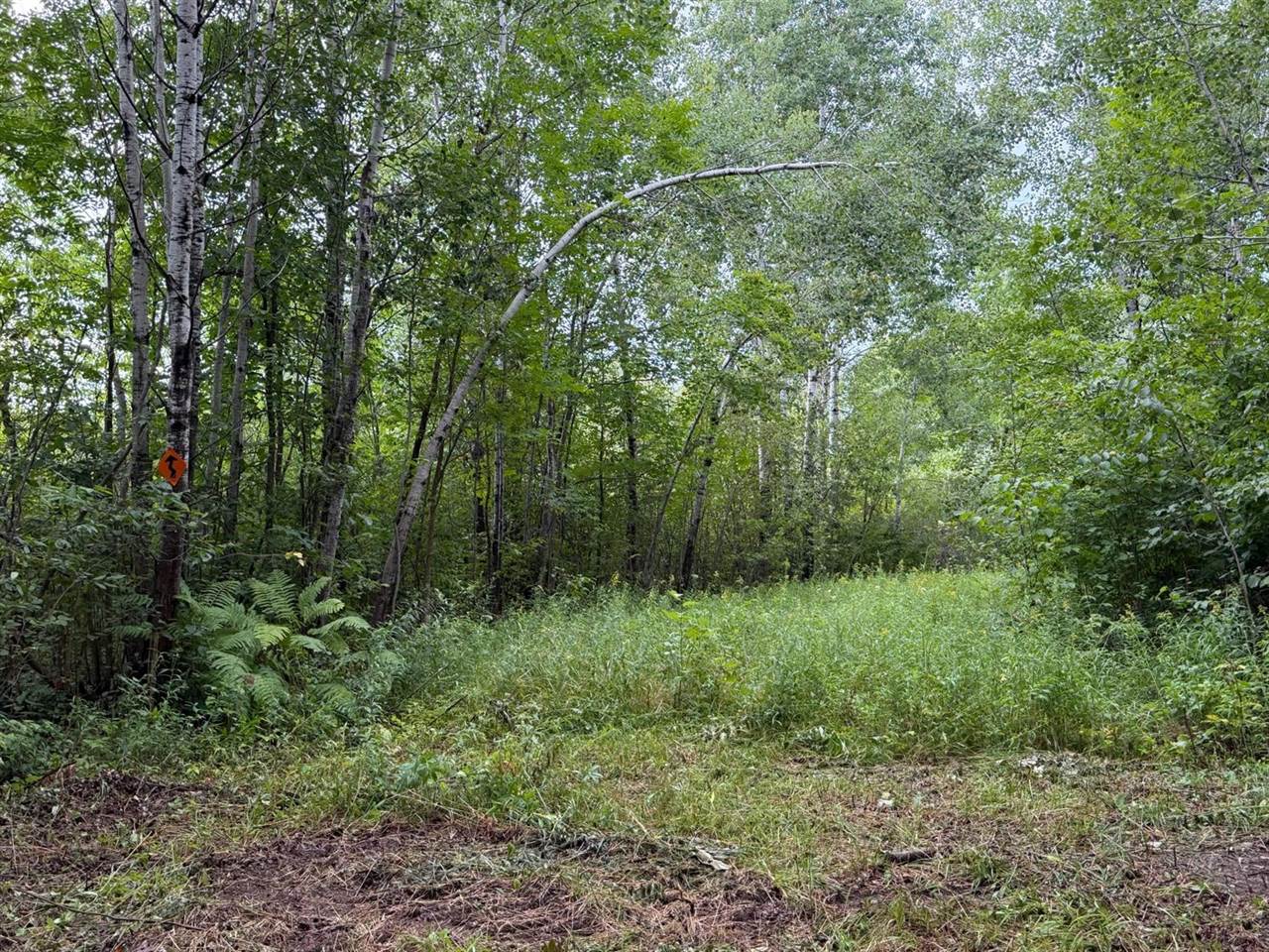 TBD County Road 12, Kettle River, MN 55767