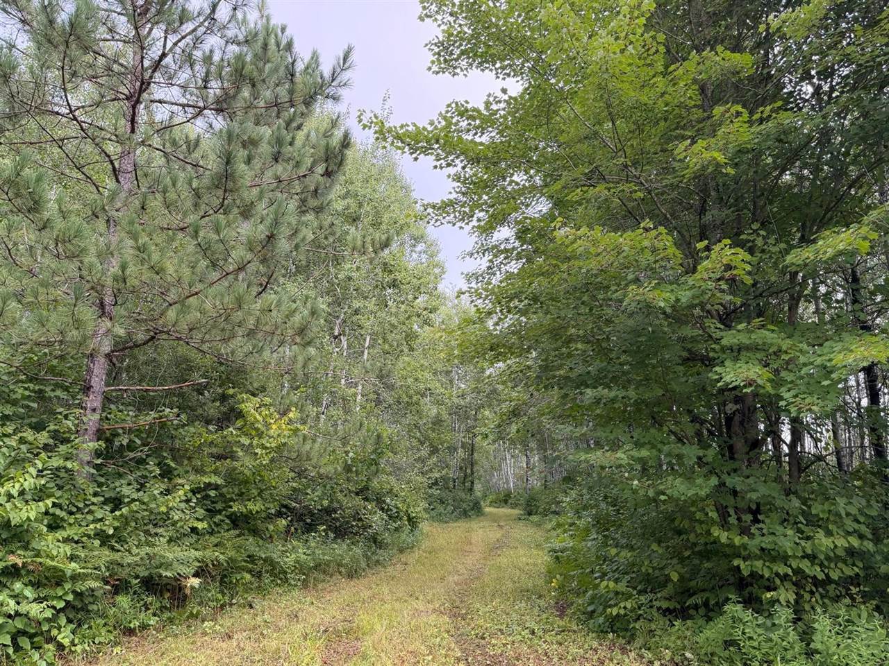 TBD County Road 12, Kettle River, MN 55767
