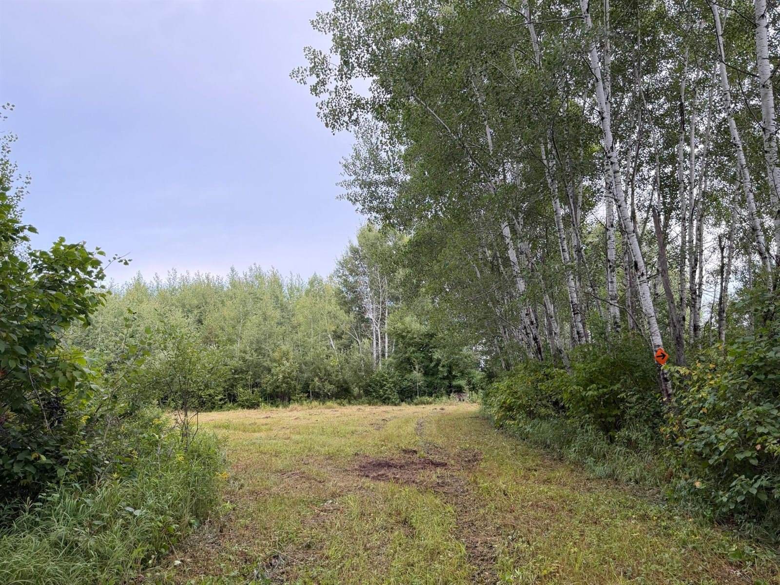 TBD County Road 12, Kettle River, MN 55767