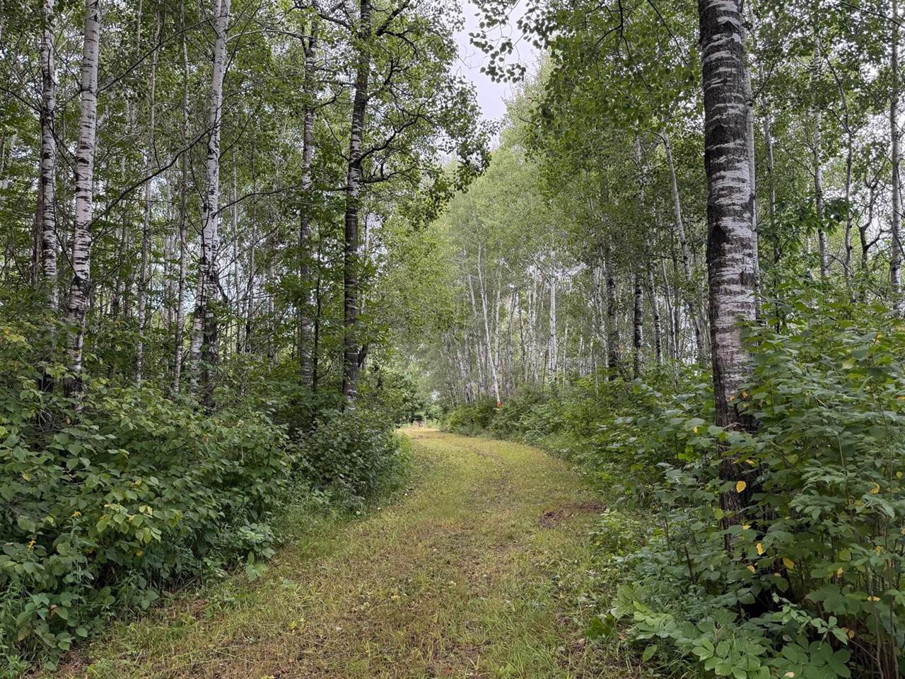 TBD County Road 12, Kettle River, MN 55767