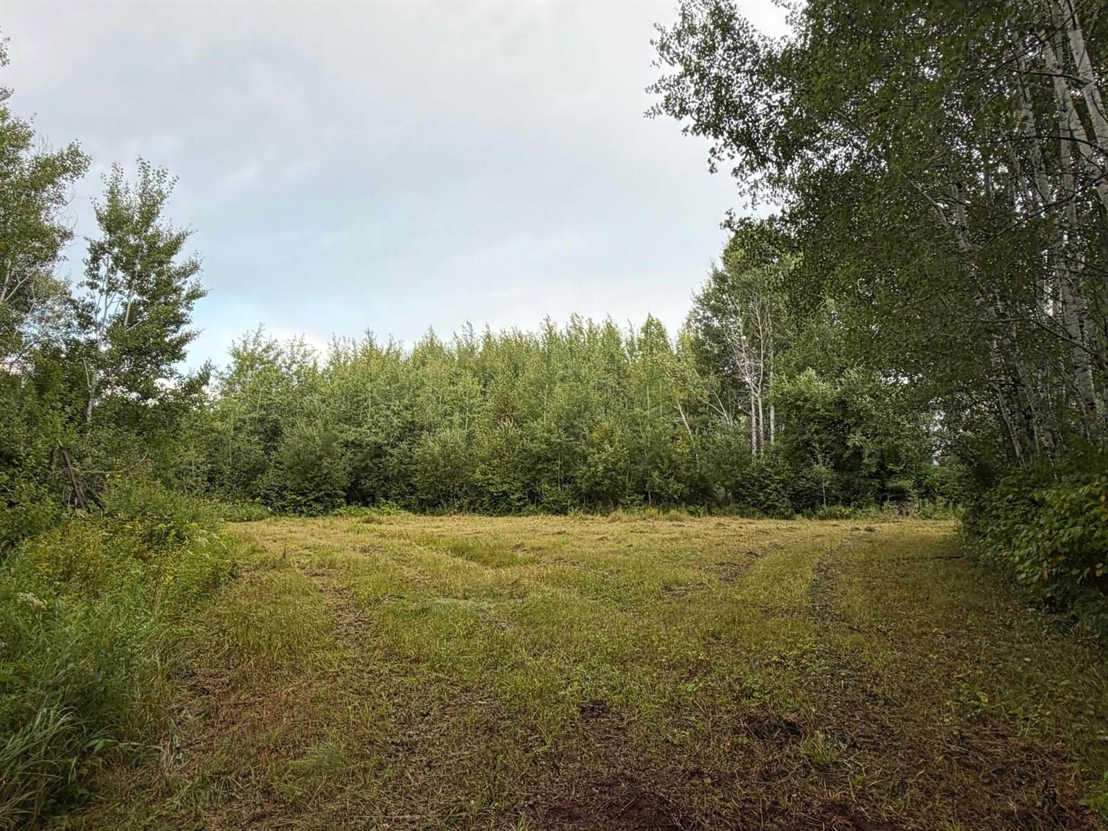 TBD County Road 12, Kettle River, MN 55767