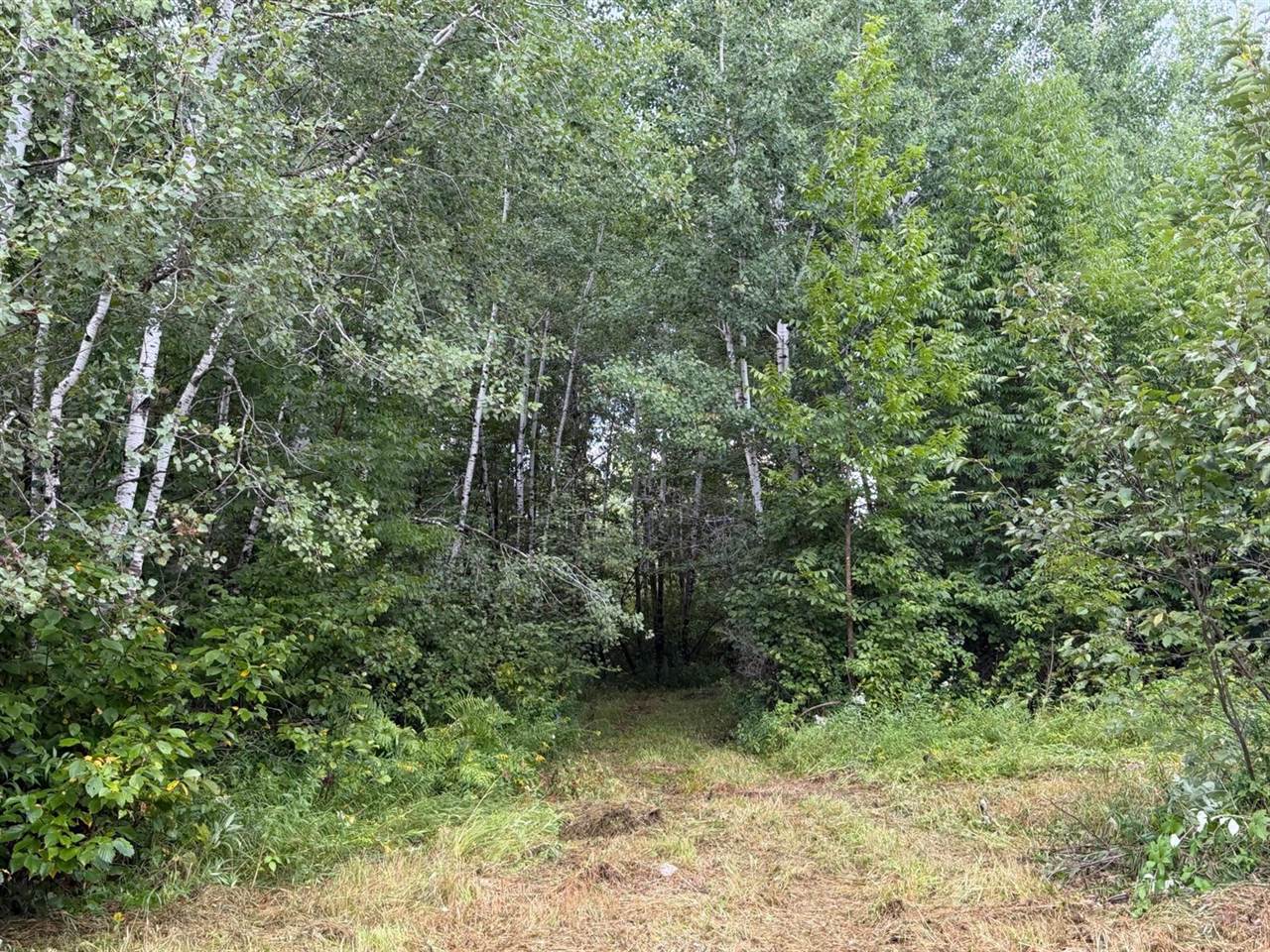 TBD County Road 12, Kettle River, MN 55767