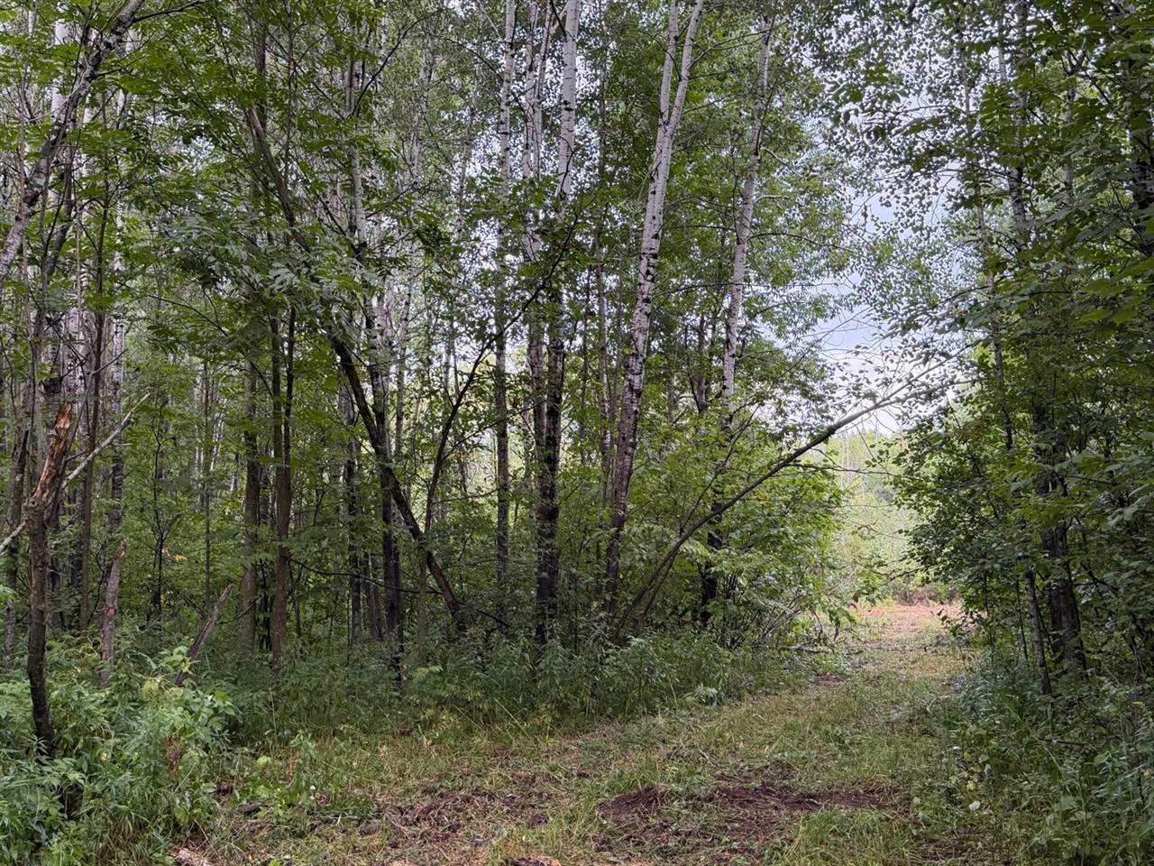 TBD County Road 12, Kettle River, MN 55767