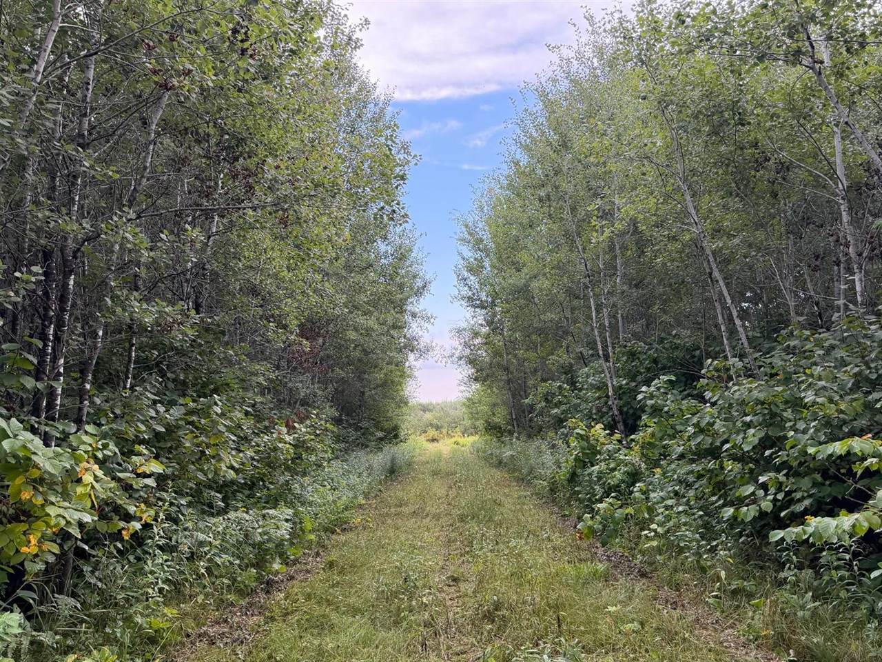 TBD County Road 12, Kettle River, MN 55767