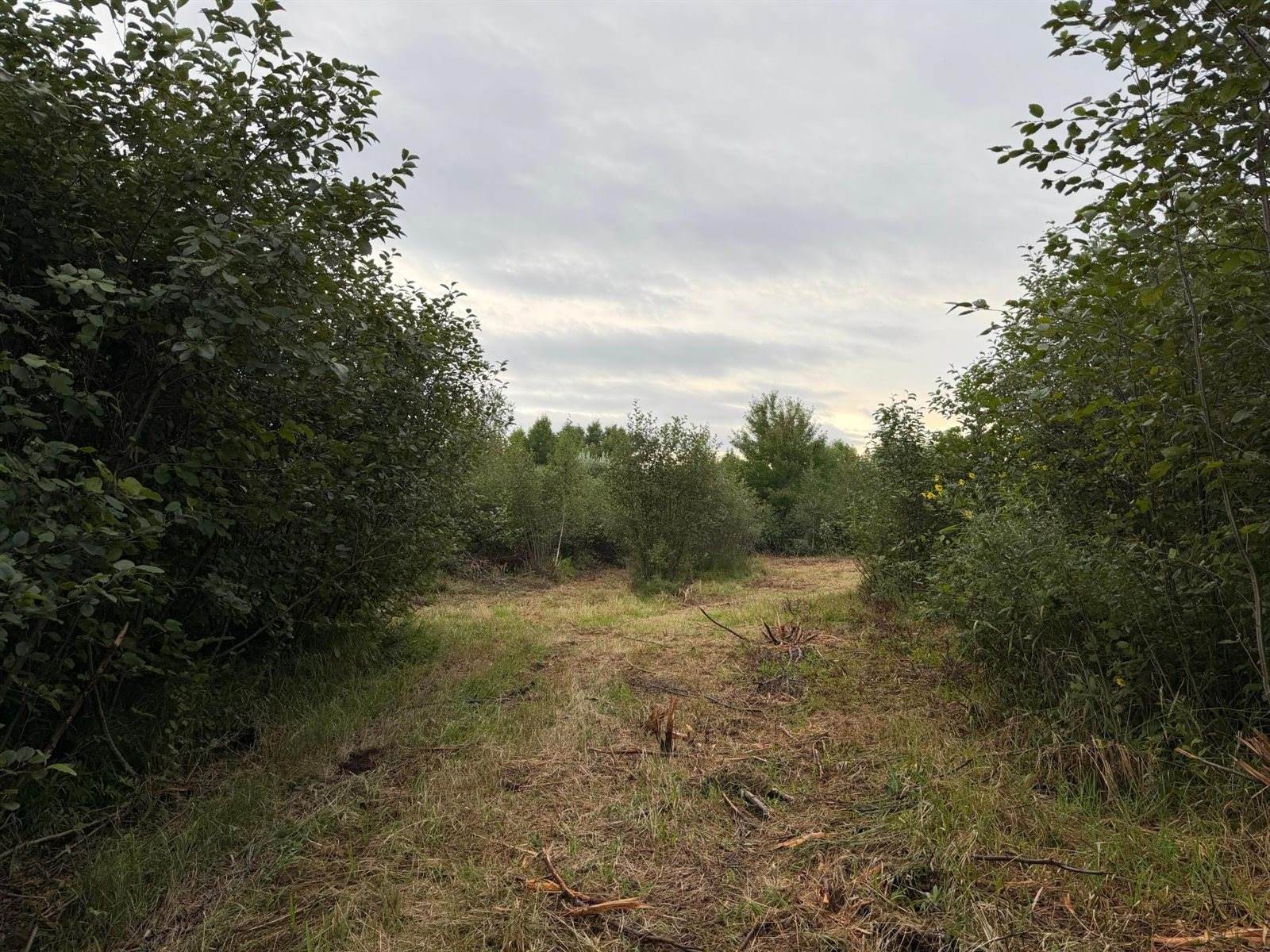 TBD County Road 12, Kettle River, MN 55767