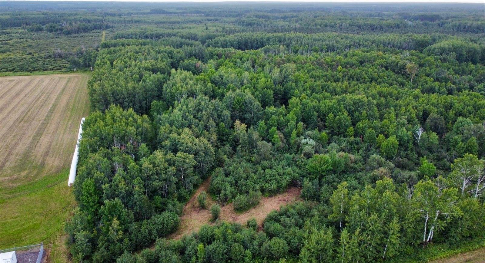 TBD County Road 12, Kettle River, MN 55767