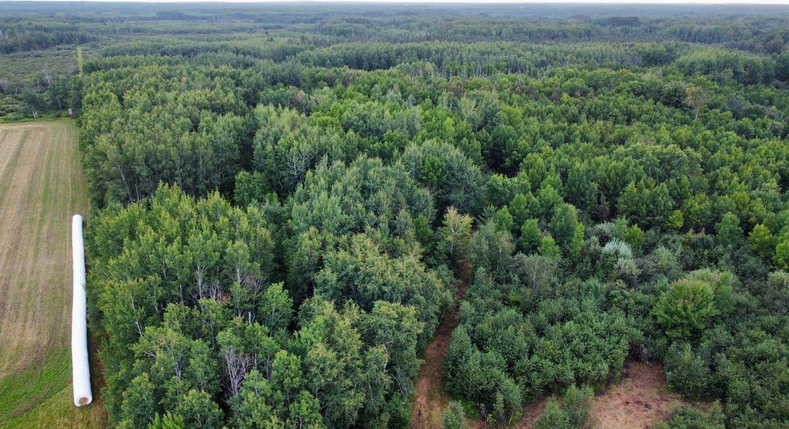 TBD County Road 12, Kettle River, MN 55767