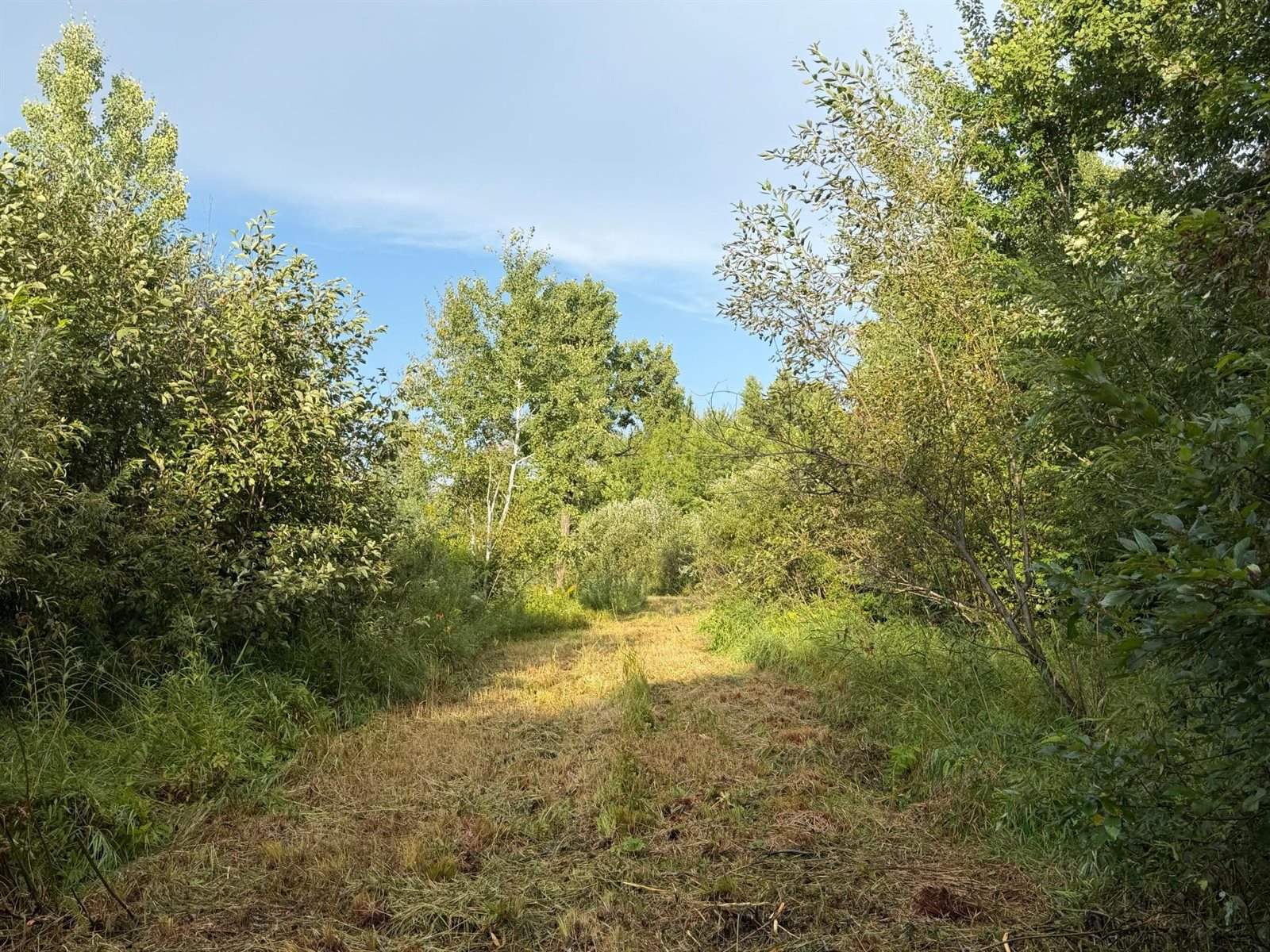 TBD County Road 12, Kettle River, MN 55767