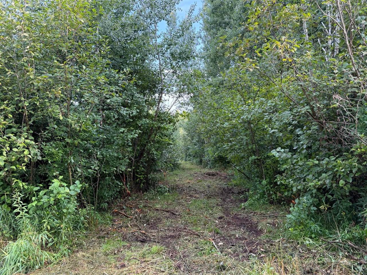 TBD County Road 12, Kettle River, MN 55767