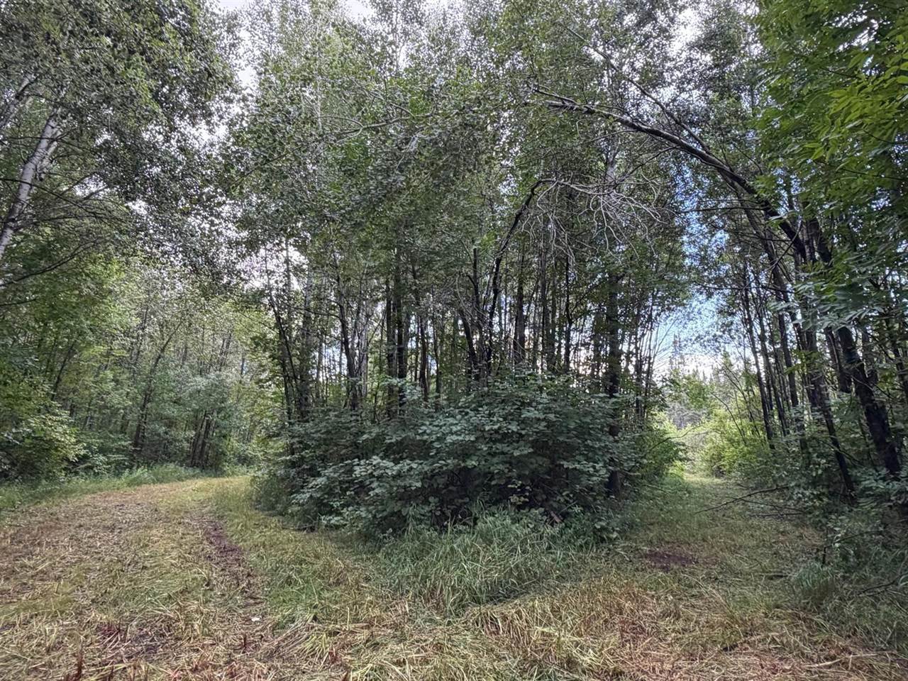 TBD County Road 12, Kettle River, MN 55767