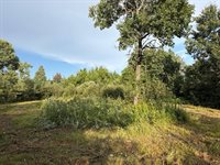TBD County Road 12, Kettle River, MN 55767