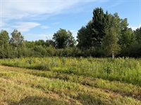 TBD County Road 12, Kettle River, MN 55767