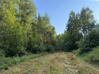 TBD County Road 12, Kettle River, MN 55767
