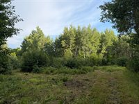 TBD County Road 12, Kettle River, MN 55767