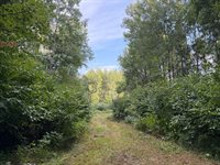 TBD County Road 12, Kettle River, MN 55767