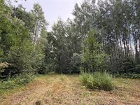 TBD County Road 12, Kettle River, MN 55767