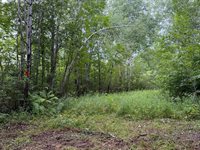 TBD County Road 12, Kettle River, MN 55767