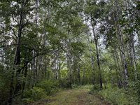 TBD County Road 12, Kettle River, MN 55767