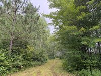 TBD County Road 12, Kettle River, MN 55767