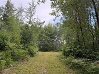 TBD County Road 12, Kettle River, MN 55767