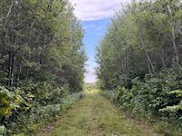TBD County Road 12, Kettle River, MN 55767