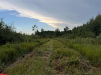 TBD County Road 12, Kettle River, MN 55767