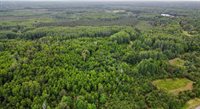 TBD County Road 12, Kettle River, MN 55767