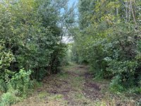 TBD County Road 12, Kettle River, MN 55767