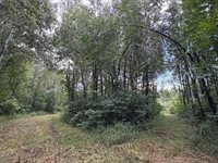 TBD County Road 12, Kettle River, MN 55767