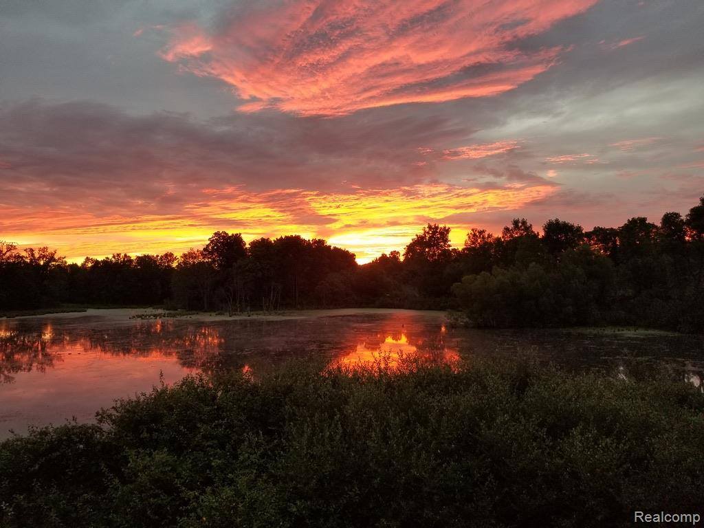 4800 Chestnut Springs Drive, Genoa Township, MI 48843