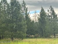 40 James, Oldtown, ID 83822