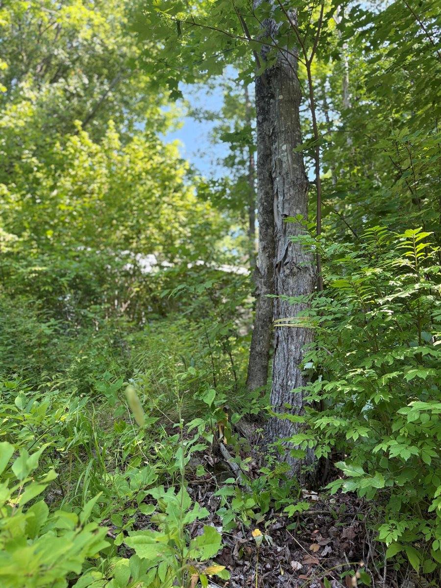 454 Brighton Road, Bingham, ME 04979