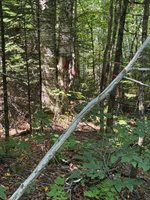 454 Brighton Road, Bingham, ME 04979
