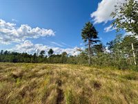746 Mohawk Road, Lincoln, ME 04457