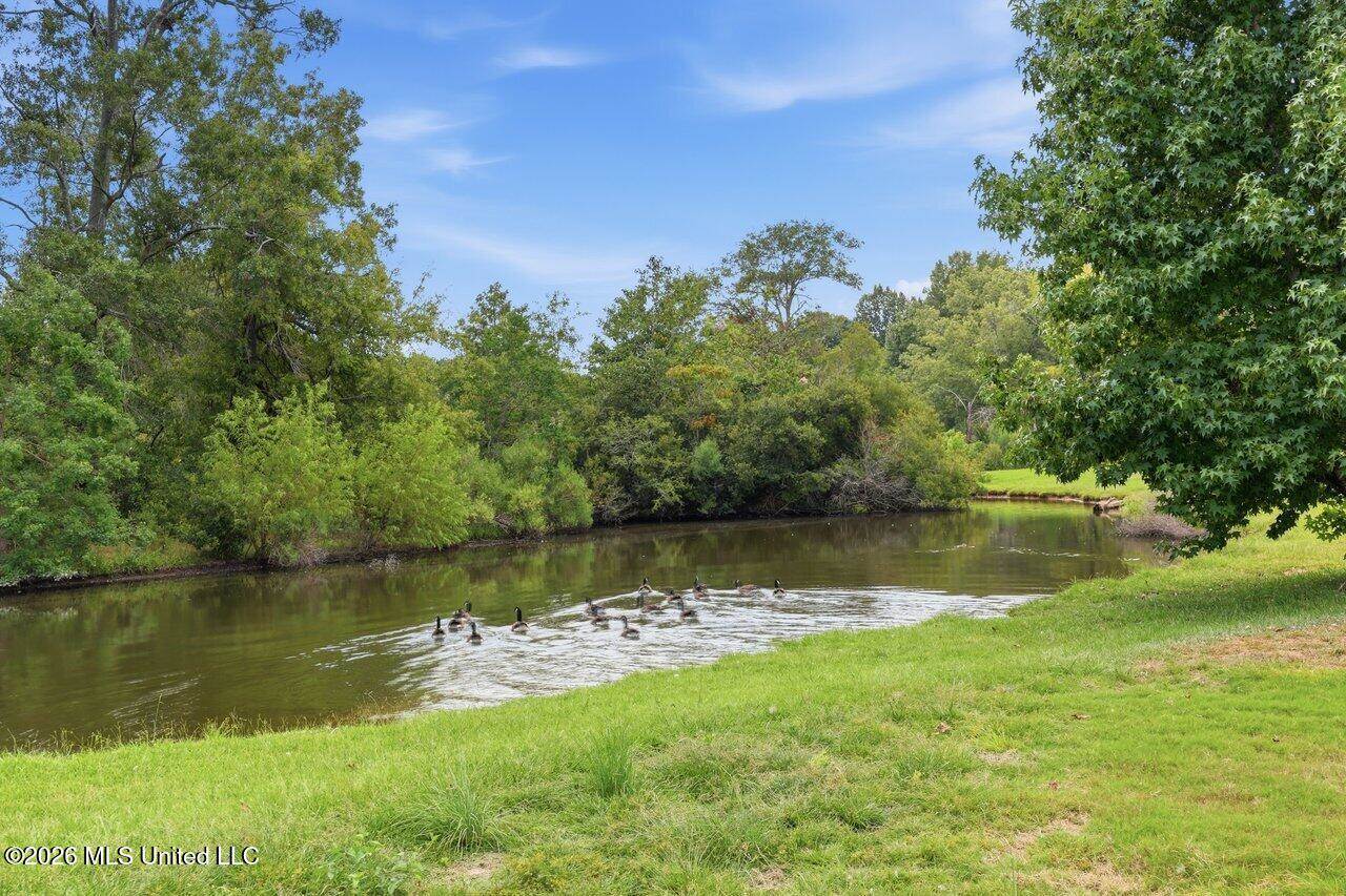 553 Twin Cedars Drive, Madison, MS 39110