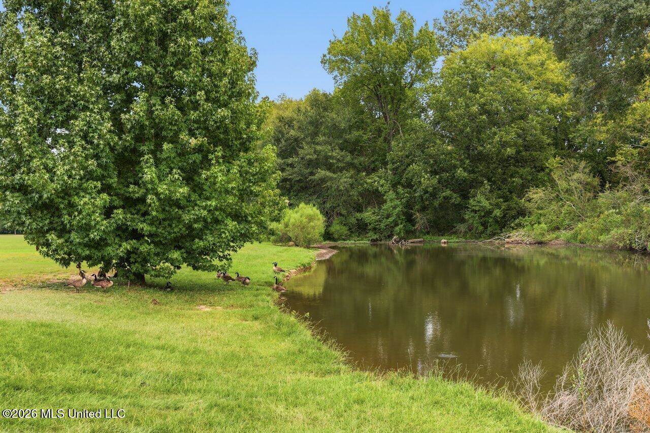 553 Twin Cedars Drive, Madison, MS 39110