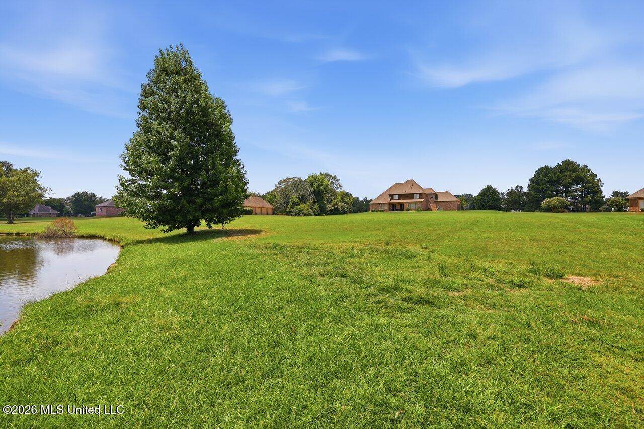 553 Twin Cedars Drive, Madison, MS 39110
