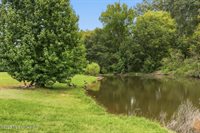 553 Twin Cedars Drive, Madison, MS 39110