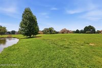 553 Twin Cedars Drive, Madison, MS 39110