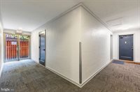 4114 NW Davis Place, Washington, DC 20007