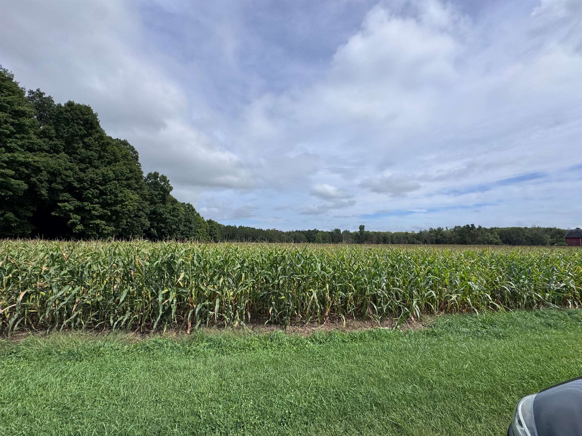 8454 Shady Ln, Suring, WI 54174