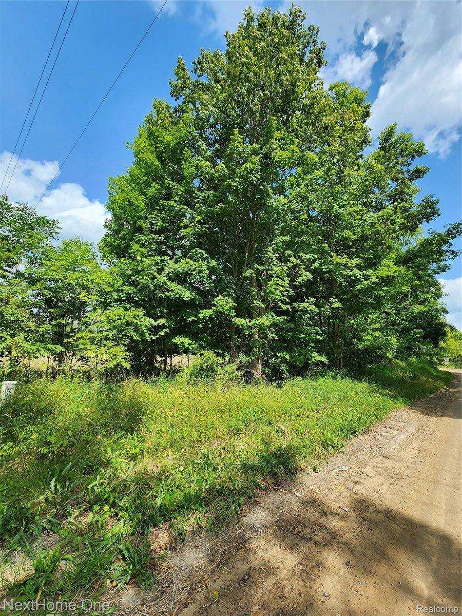 00 Musson Road, Oceola Township, MI 48855