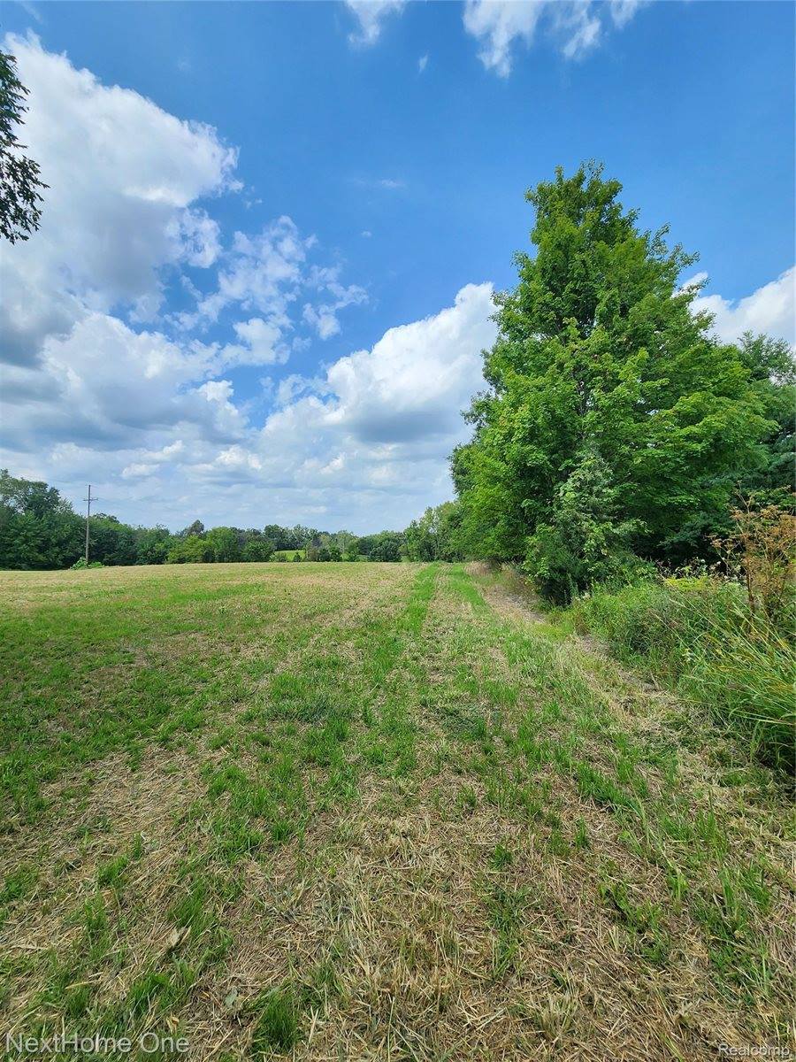 00 Musson Road, Oceola Township, MI 48855