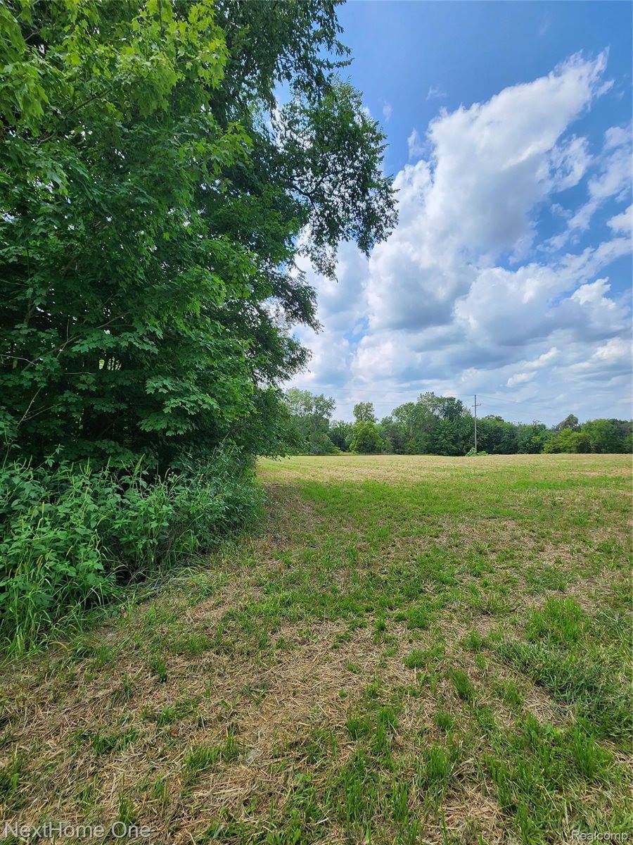 00 Musson Road, Oceola Township, MI 48855
