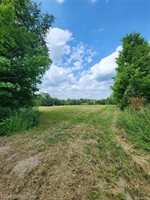 00 Musson Road, Oceola Township, MI 48855